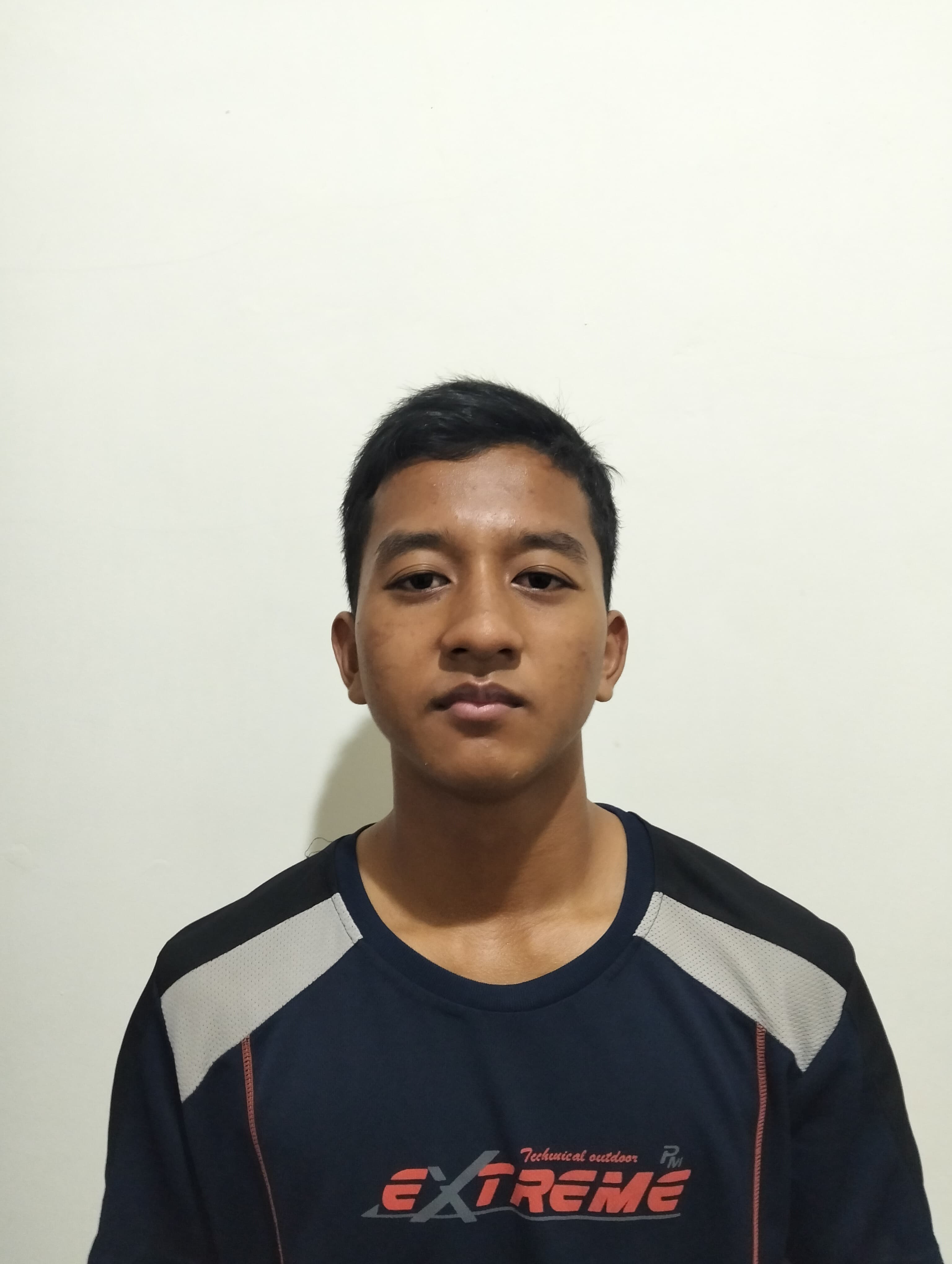 Rachdyatmaka Ibrahimovic